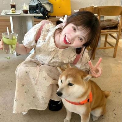 白粉飞 第五季