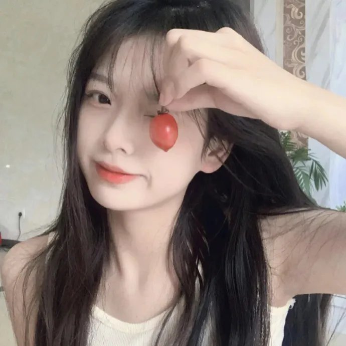 总统班底